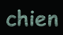 logo chien