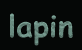 logo lapin