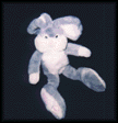 photo lapin7