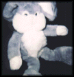 photo lapin9