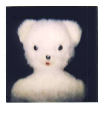photo ours 1