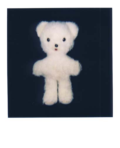 photo ours 2