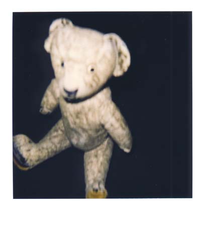 photo ours 5