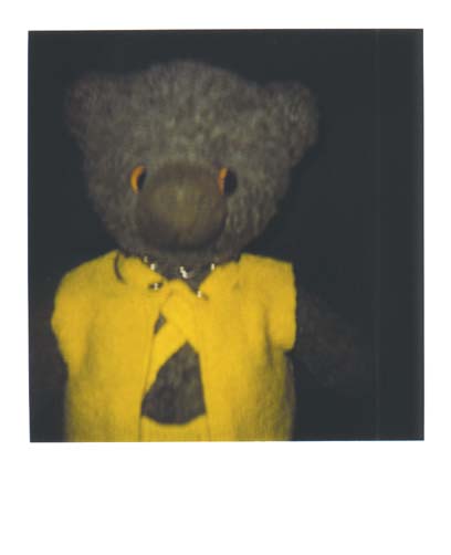 photo ours 9
